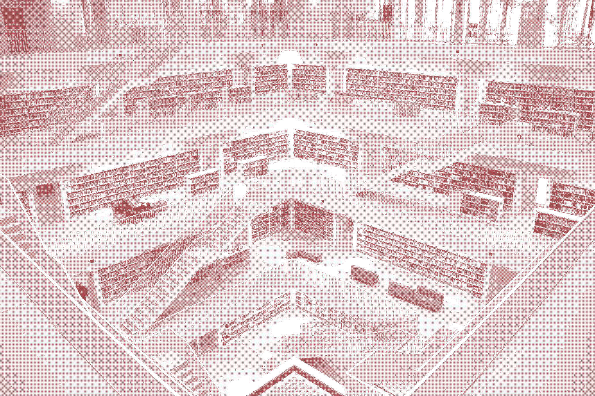 AI Literacy Working Group, Library
